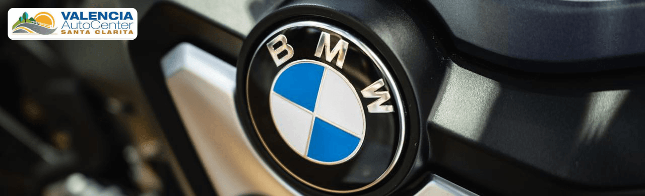 What is typical maintenance on a BMW?